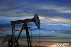 行业与经济专家：风险正成为全球远洋航运业的“新常态”