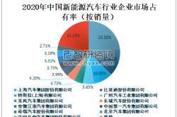 徐长明：中国新能源汽车市场发展趋势