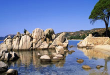 中国人保携手镇江利正汽车购车嘉年华